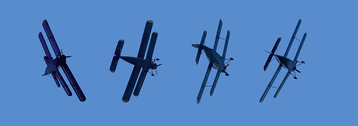Vier Antonov An-2 in Flugformation am blauen Himmel